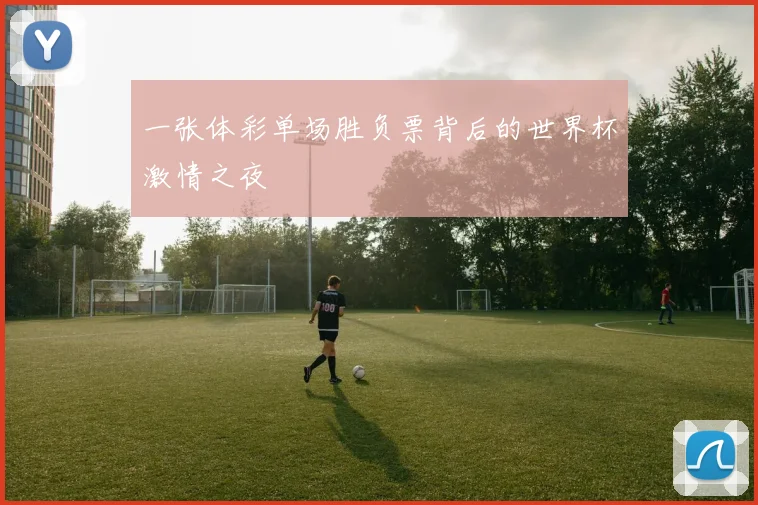 一张体彩单场胜负票背后的世界杯激情之夜