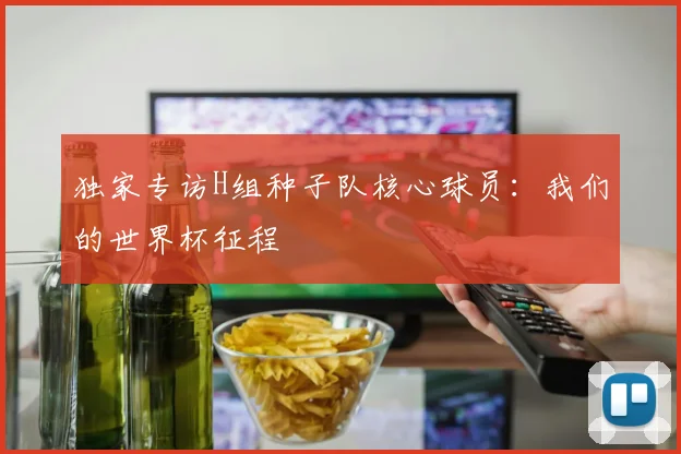 独家专访H组种子队核心球员：我们的世界杯征程