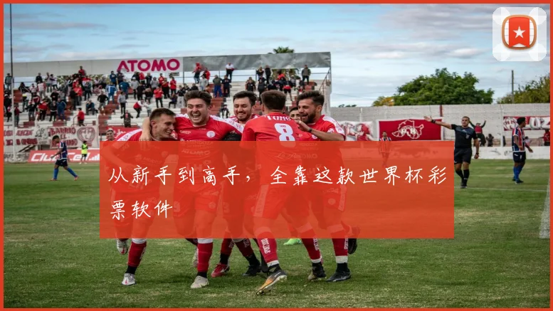 从新手到高手，全靠这款世界杯彩票软件