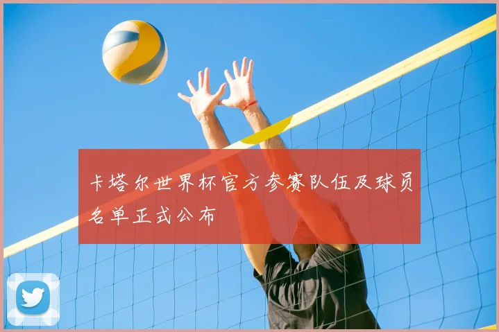 卡塔尔世界杯官方参赛队伍及球员名单正式公布