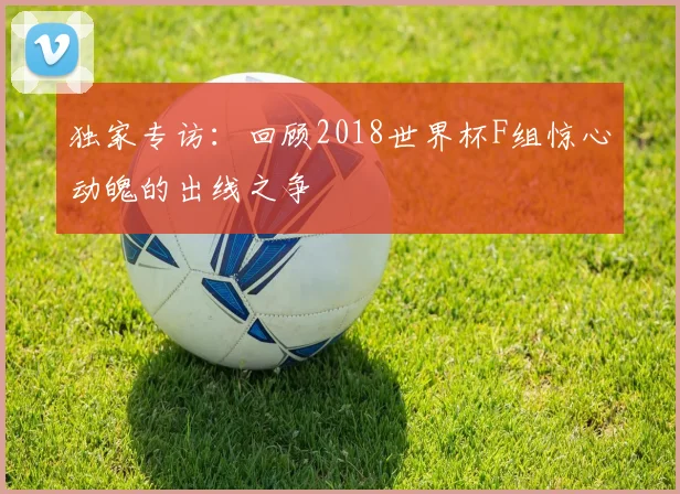 独家专访：回顾2018世界杯F组惊心动魄的出线之争