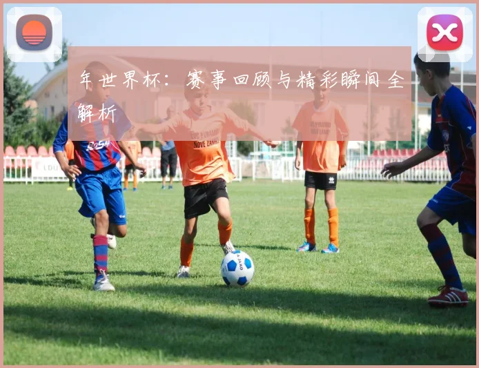 年世界杯：赛事回顾与精彩瞬间全解析