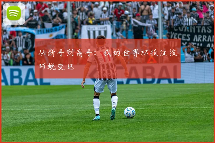 从新手到高手：我的世界杯投注技巧蜕变记
