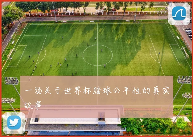 一场关于世界杯赌球公平性的真实故事