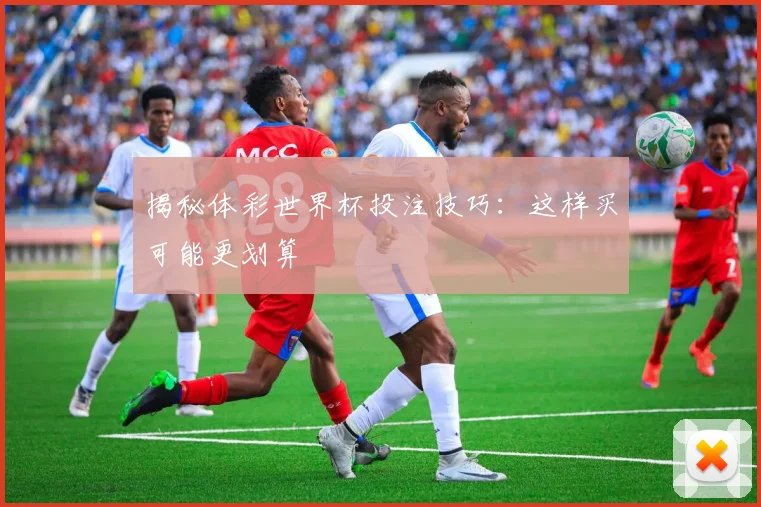 揭秘体彩世界杯投注技巧:这样买可能更划算