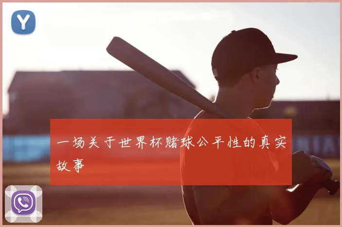 一场关于世界杯赌球公平性的真实故事