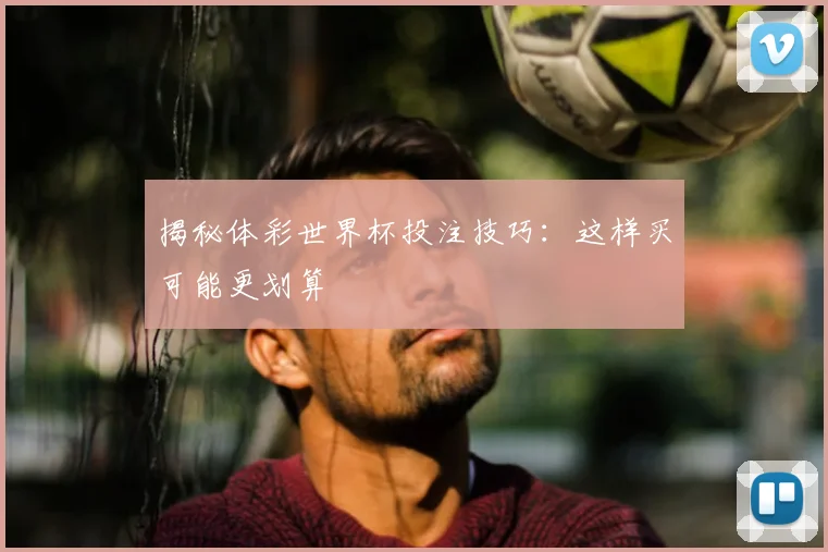 揭秘体彩世界杯投注技巧:这样买可能更划算