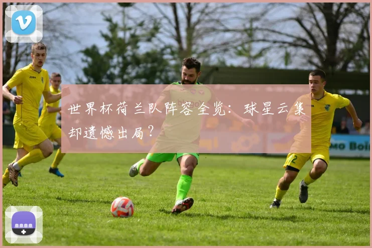 世界杯荷兰队阵容全览:球星云集却遗憾出局?