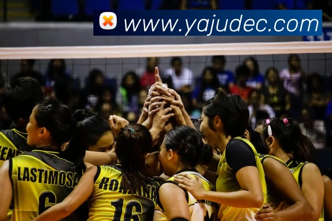 必一运动体育官网平台生态图