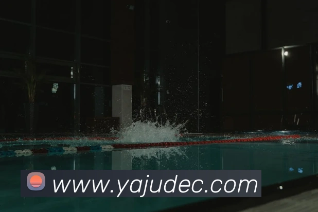 必一运动体育官网APP 封面图